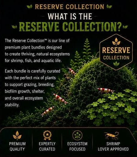 Shrimp Room Reserve⢠| Premium Shrimp Ecosystem Bundle Java Moss, Guppy Grass, Spangles Bulk Aquatic Plants