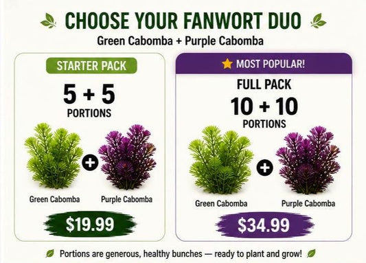 Fanwort Duo (Green Cabomba + Purple Cabomba) Live Aquarium Plants | Colorful Fish Tank Plants | Fast Growing, Fish Safe