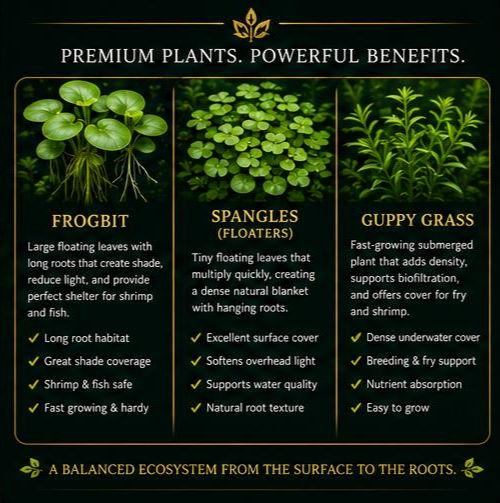 Floating Reserve⢠| Premium Floating Ecosystem Bundle | Frogbit, Spangles & Guppy Grass | Live Aquarium Plants for Shrimp Tanks, Aquariums
