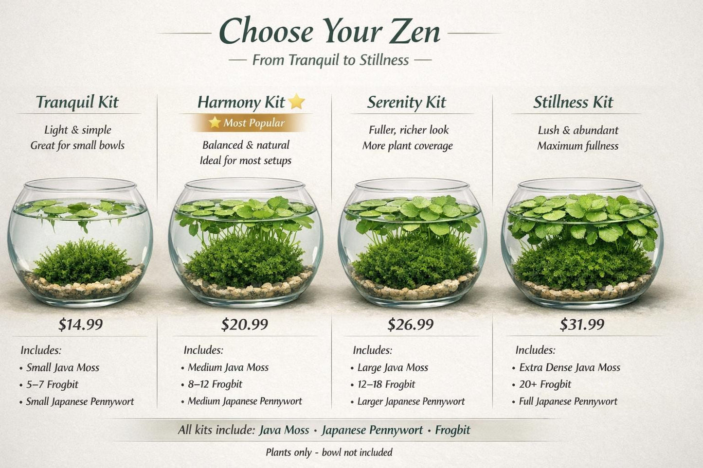 Zen Water Bowl Kit – Live Aquatic Plant Pack – Java Moss, Japanese Pennywort & Frogbit – Easy Indoor Water Garden – No Filter Needed