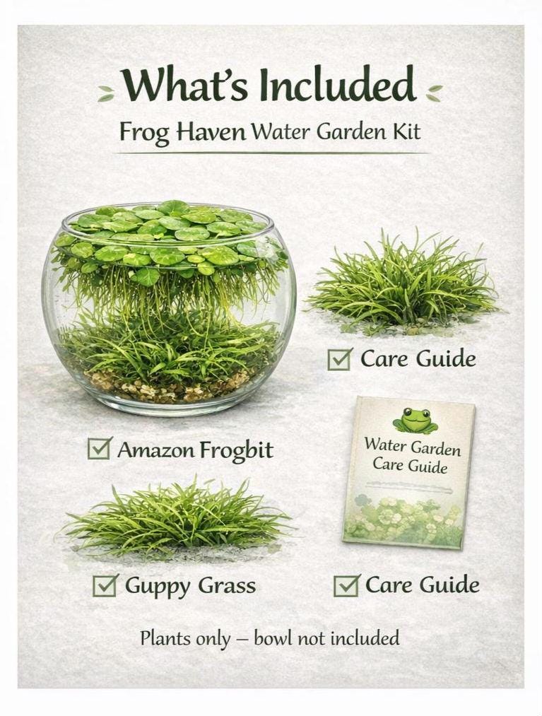 Frog Haven Water Garden Kit, Floating Aquatic Plants, Frogbit & Guppy Grass, Mini Pond Bowl, No Filter Aquarium, Beginner Friendly