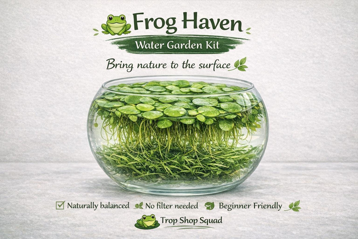 Frog Haven Water Garden Kit, Floating Aquatic Plants, Frogbit & Guppy Grass, Mini Pond Bowl, No Filter Aquarium, Beginner Friendly