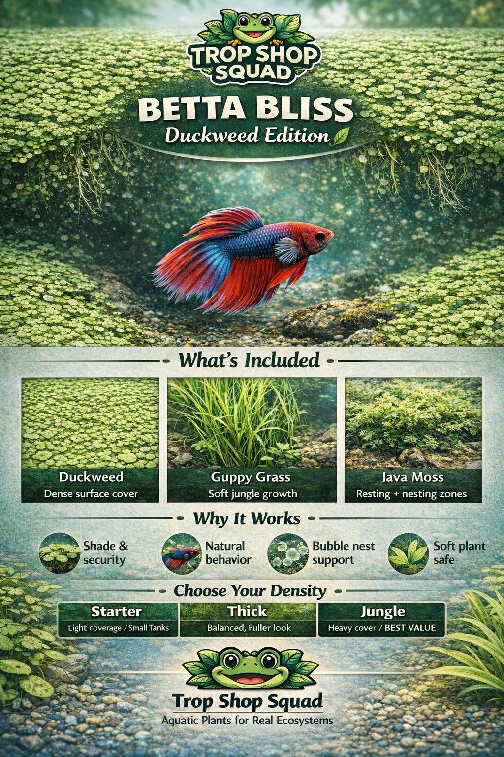 Betta Bliss Plant Pack – Duckweed Edition Floating Aquarium Plants for Betta Fish | Frogbit, Guppy Grass, Java Moss | Live Betta Tank Plants