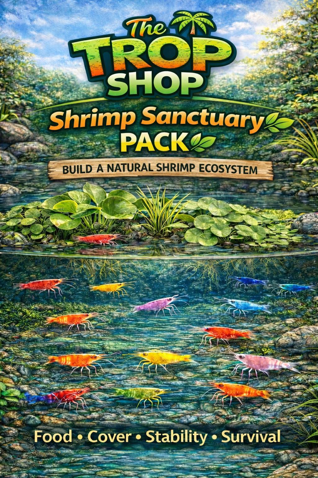Shrimp Plant Pack – Java Moss, Guppy Grass & Frogbit | Live Aquarium Plants | Shrimp Safe Tank Setup | Biofilm Booster | Easy Beginner Kit