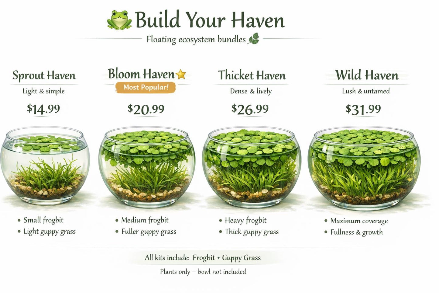 Frog Haven Water Garden Kit, Floating Aquatic Plants, Frogbit & Guppy Grass, Mini Pond Bowl, No Filter Aquarium, Beginner Friendly