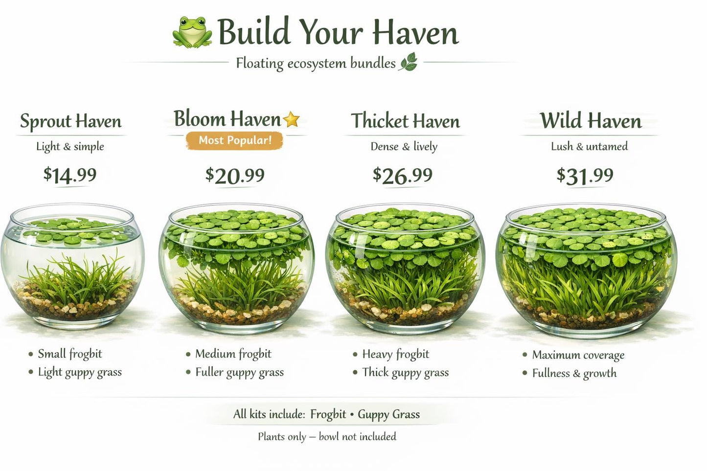 Frog Haven Water Garden Kit, Floating Aquatic Plants, Frogbit & Guppy Grass, Mini Pond Bowl, No Filter Aquarium, Beginner Friendly