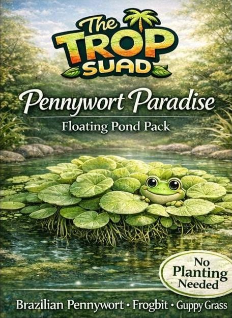 Pennywort Paradise Pond Pack – Brazilian Pennywort, Frogbit & Guppy Grass – Floating Plants for Shade, Clear Water and Fish Cover