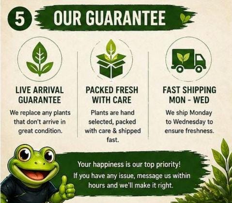 Glasswater Grove Aquarium Plant Pack | Live Aquarium Plants for Betta, Guppy, Shrimp | Guppy Grass, Java Moss, Pennywort, Frogbit, Spangles