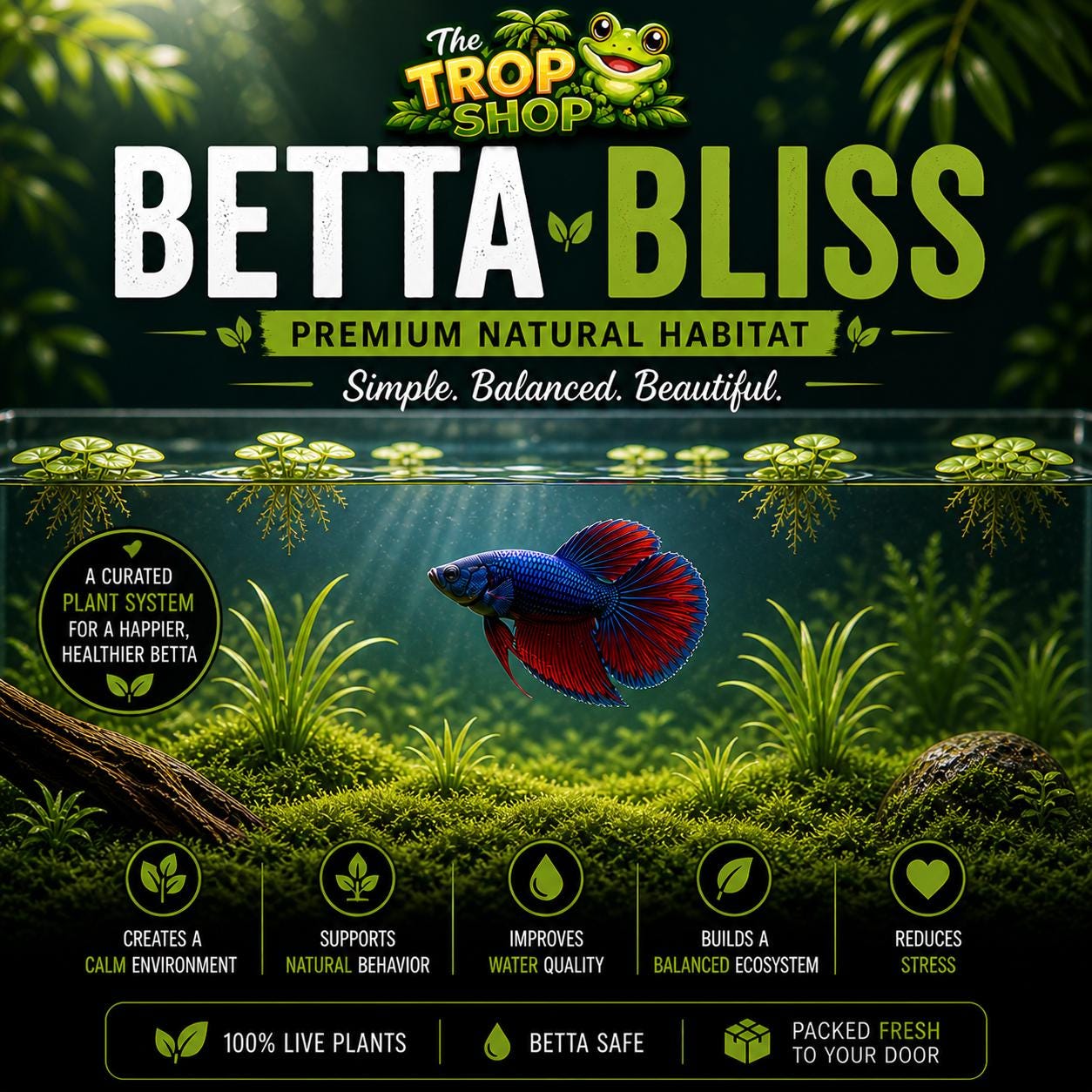 Betta Bliss – Premium Natural Aquarium Plant Pack Live Aquarium Plants for Betta Fish | Guppy