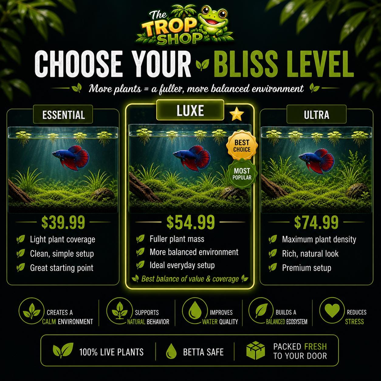 Betta Bliss – Premium Natural Aquarium Plant Pack Live Aquarium Plants for Betta Fish | Guppy