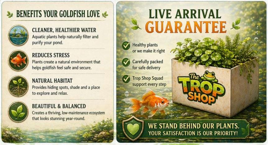 Goldfish Floating Meadow Pond Plants – Brazilian Pennywort, Frogbit, Hornwort – Live Aquarium & Pond Plant Bundle – Goldfish Safe