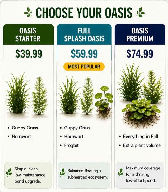 Goldfish Splash Oasis Live Plants – Guppy Grass, Hornwort, Frogbit – Easy Pond & Aquarium Plant Bundle – Goldfish Safe