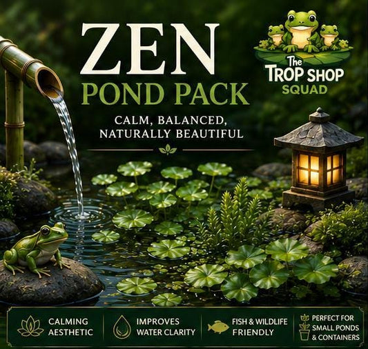 Zen Pond Pack – Live Pond Plants for Small Ponds and Water Gardens – Spangles, Pennywort, Anacharis and Java Moss – Patio Pond Kit