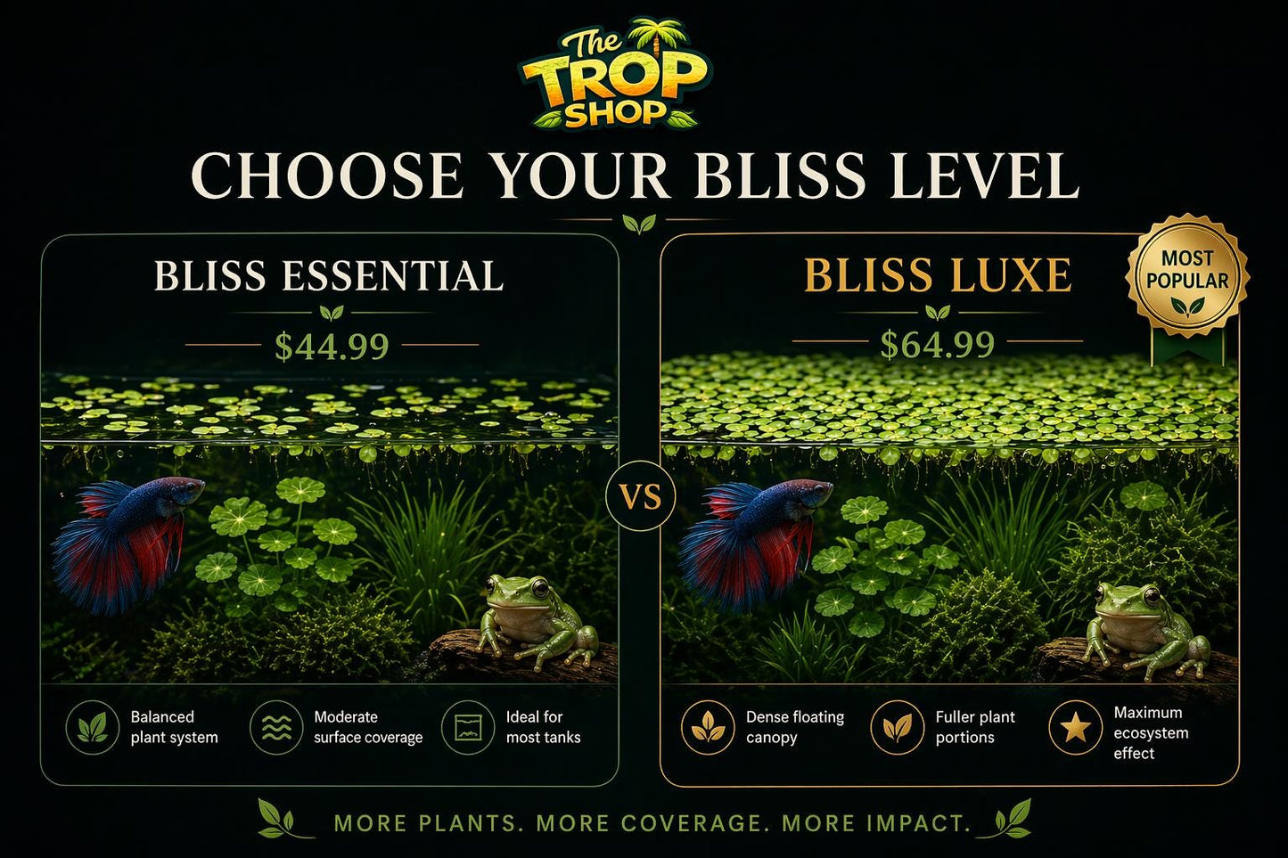 Betta Bliss Canopy Edition | Live Aquarium Plants Bundle | Frogbit, Salvinia, Guppy Grass, Java Moss | Betta Tank Plants | Floating Plants