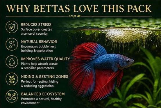 Betta Bliss Canopy Edition | Live Aquarium Plants Bundle | Frogbit, Salvinia, Guppy Grass, Java Moss | Betta Tank Plants | Floating Plants