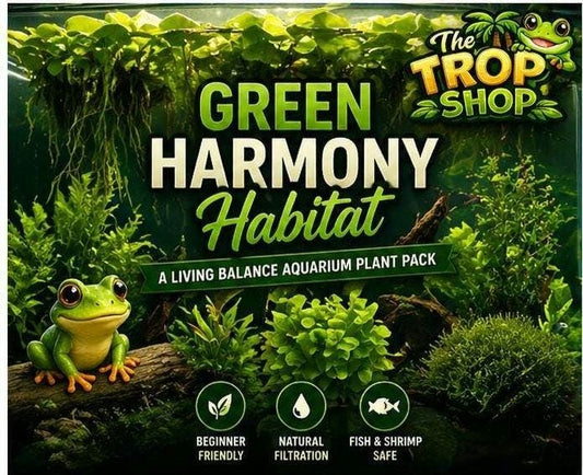 Green Harmony Habitat Aquarium Plant Pack | Guppy Grass, Hornwort, Java Moss, Pennywort | Live Aquarium Plants | Fish & Shrimp Safe