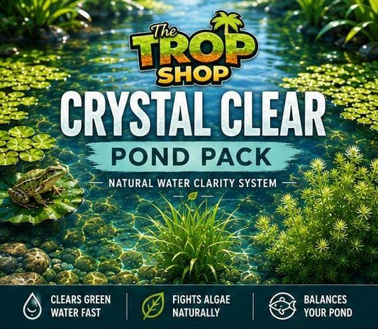 Crystal Clear Pond Pack™ | Live Pond Plants for Clear Water, Algae Control and Natural Filtration | Hornwort, Guppy Grass and Spangles