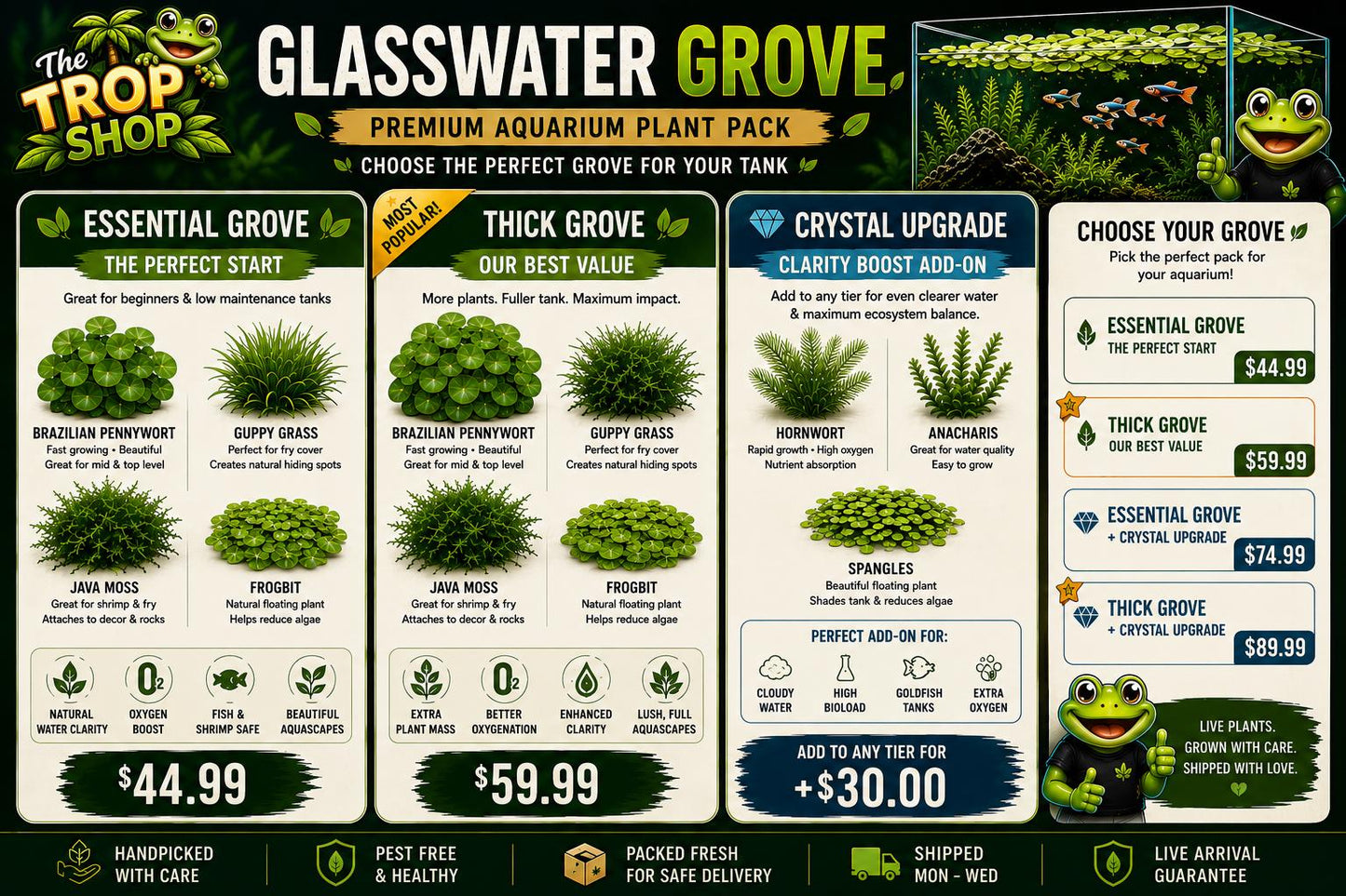 Glasswater Grove Aquarium Plant Pack | Live Aquarium Plants for Betta, Guppy, Shrimp | Guppy Grass, Java Moss, Pennywort, Frogbit, Spangles