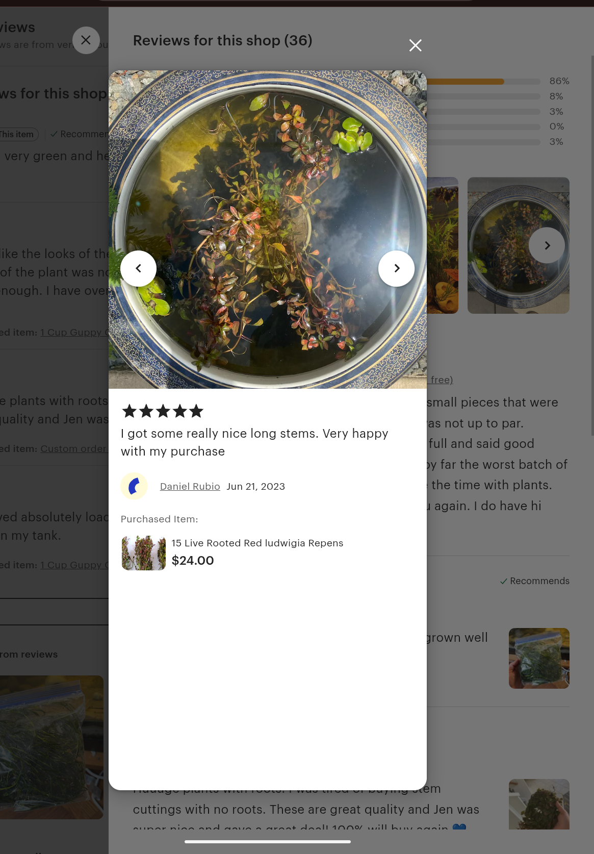 🌿  12 Red Ludwigia (Ludwigia Repens) – Live Aquarium Plant
Vibrant Red Stem Plant | Easy Grower | Freshwater Aquarium & Pond